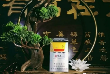 田东香烟批发_田东批发街