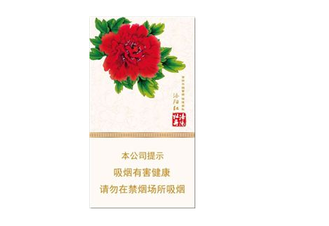 辽宁烟草岗位表(烟草公司招聘考试2021辽宁省)